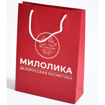 Фирменный пакет 17x25x9 красный