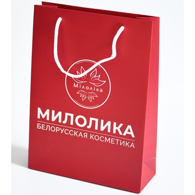 Фирменный пакет 22x30x8 красный